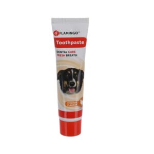 DENTIFRICO DAFRA SABOR A POLLO 85GR DISPLAY -BRY