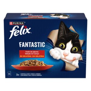 FELIX CARNES GELATINA 12X85G