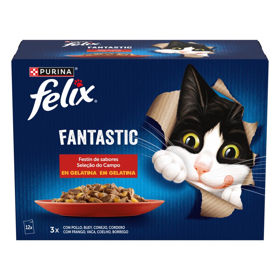 FELIX CARNES GELATINA 12X85G