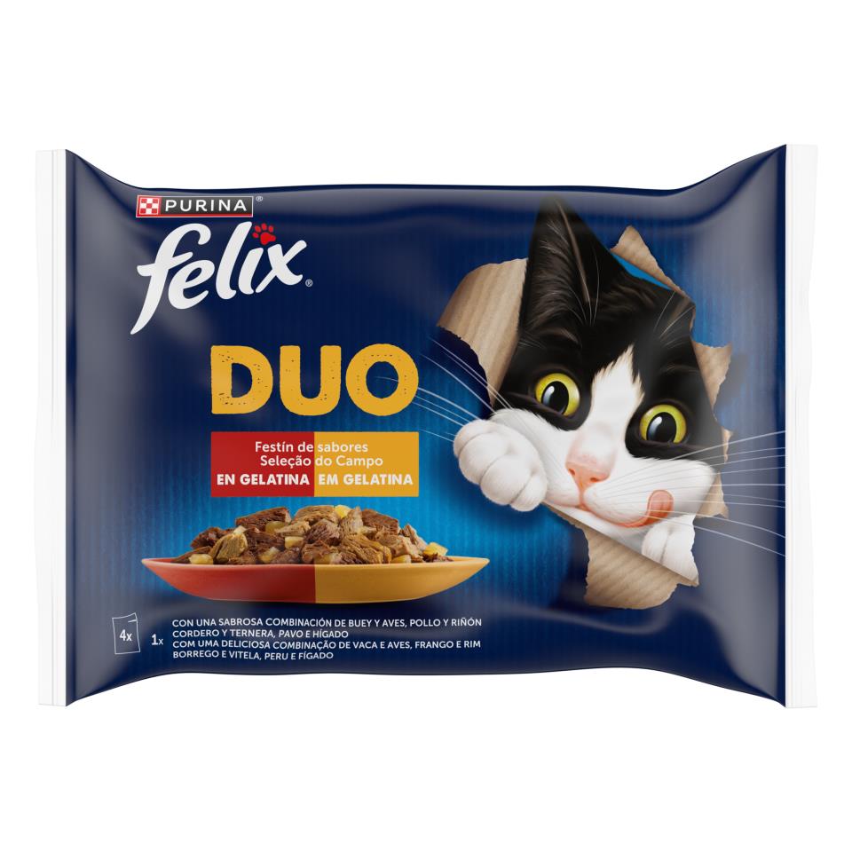 FELIX DUO CARNE 4X85G