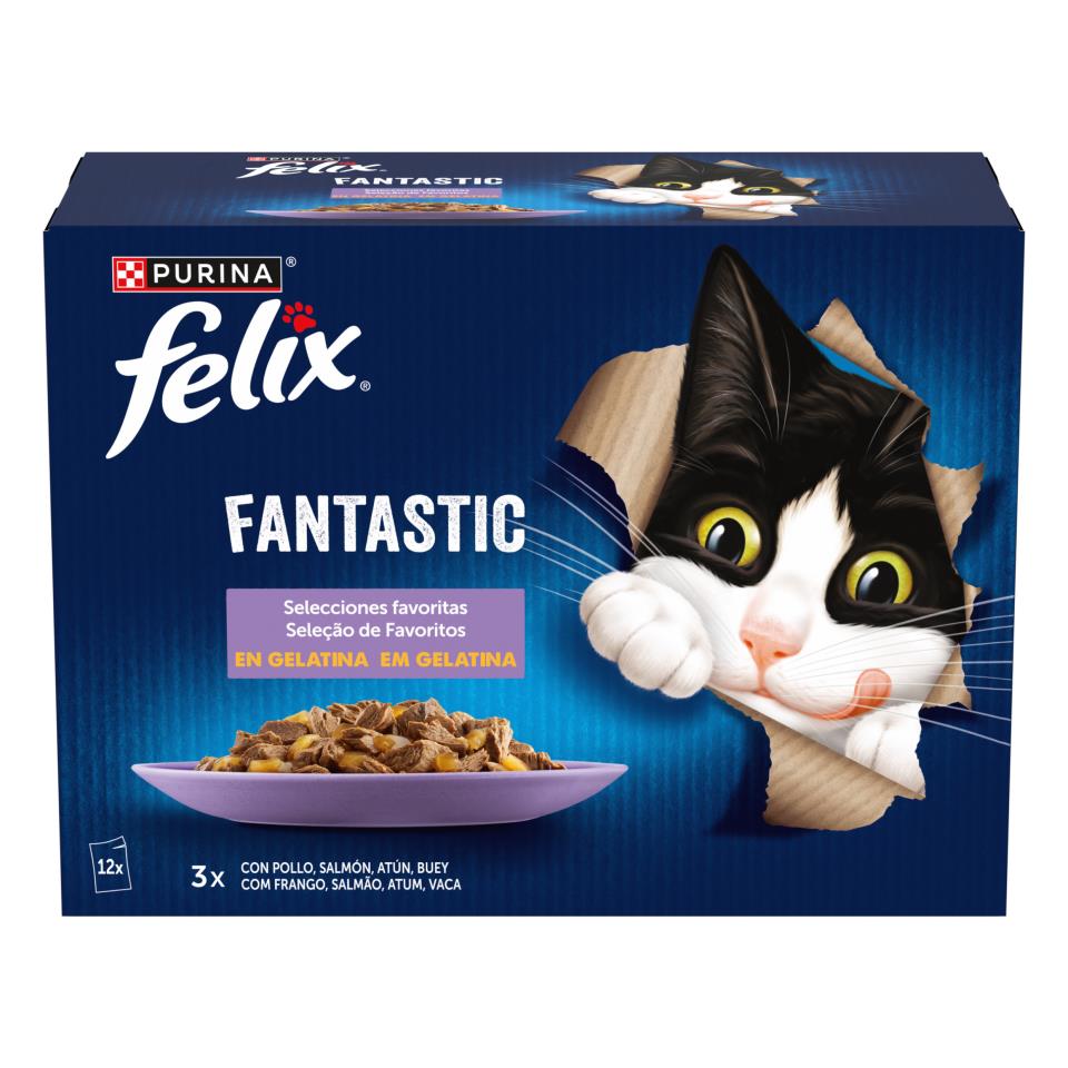 FELIX SURTIDO GELATINA 12X85G