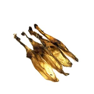 OREJA CONEJO B-200 GR  -FR