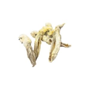 OREJA CONEJO CON PELO B-200 GR  -FR