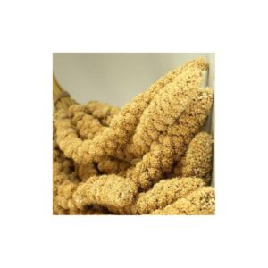 PANISET 1 Kg