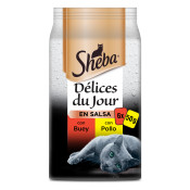 SHEBA DELICES DU JOUR CARNE 6x50 gr